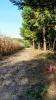 Five Seasons Disc Golf Course