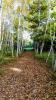 Five Seasons Disc Golf Course