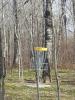 Andersons Homestead Golf and Disc Golf Course