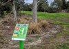 Bald Hill Park Disc Golf