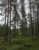 Hamrångebygden RED