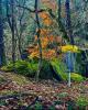 Eagles Nest Disc Golf Course