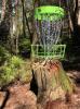 Newcastle Disc Golf