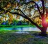 Cliff Stephens Park