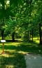 Gordon Holton Memorial Disc Golf Course at Delaware State Park