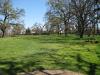 Oak Grove Regional Park - Purple