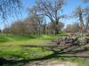 Oak Grove Regional Park - Purple