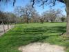 Oak Grove Regional Park - Purple