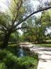 North Central Park 