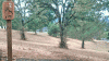 Oakland Disc Golf Course