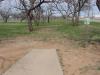 Cal Young Park