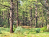 Wilderness Ranch