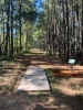 Piney Point