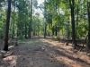 Piney Point