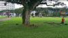 Kallang Riverside Park