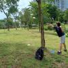 Puteri Harbor Disc Golf Course