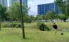 Puteri Harbor Disc Golf Course