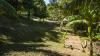 Roatan Disc Golf