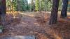 Farragut State Park - Wreckreator