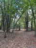 Ceredo Wayside Disc Golf