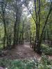 Ceredo Wayside Disc Golf