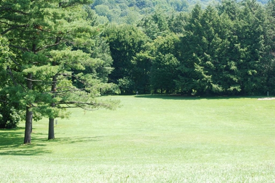 Ellison Park in Rochester, NY Hole #7