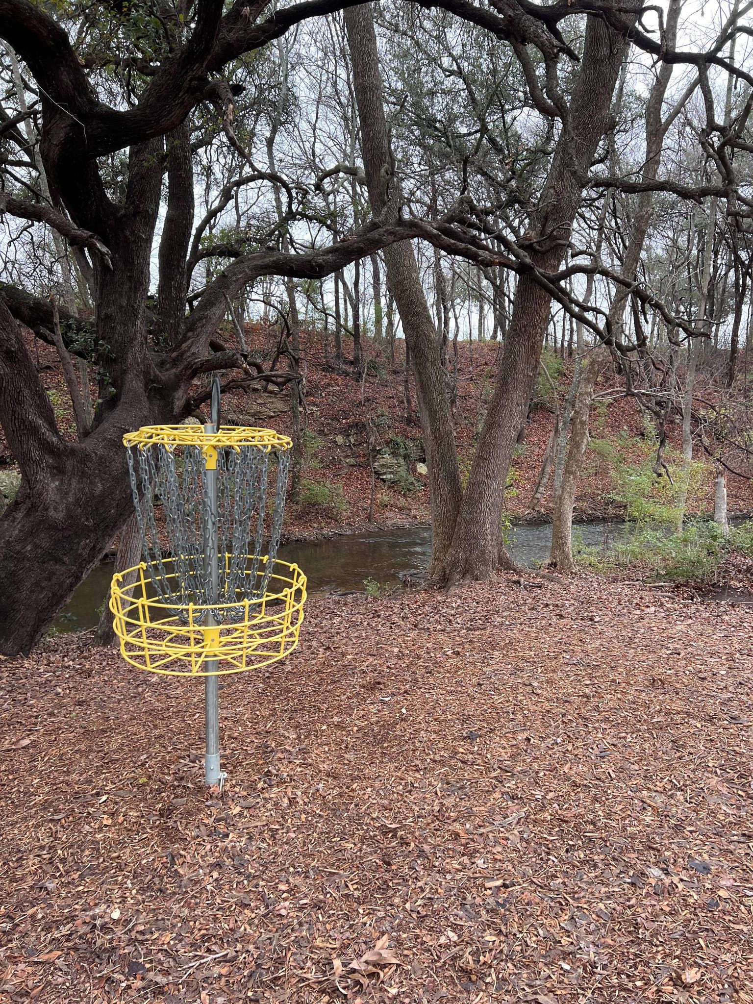 2024 PDGA Majors Awarded Professional Disc Golf Association