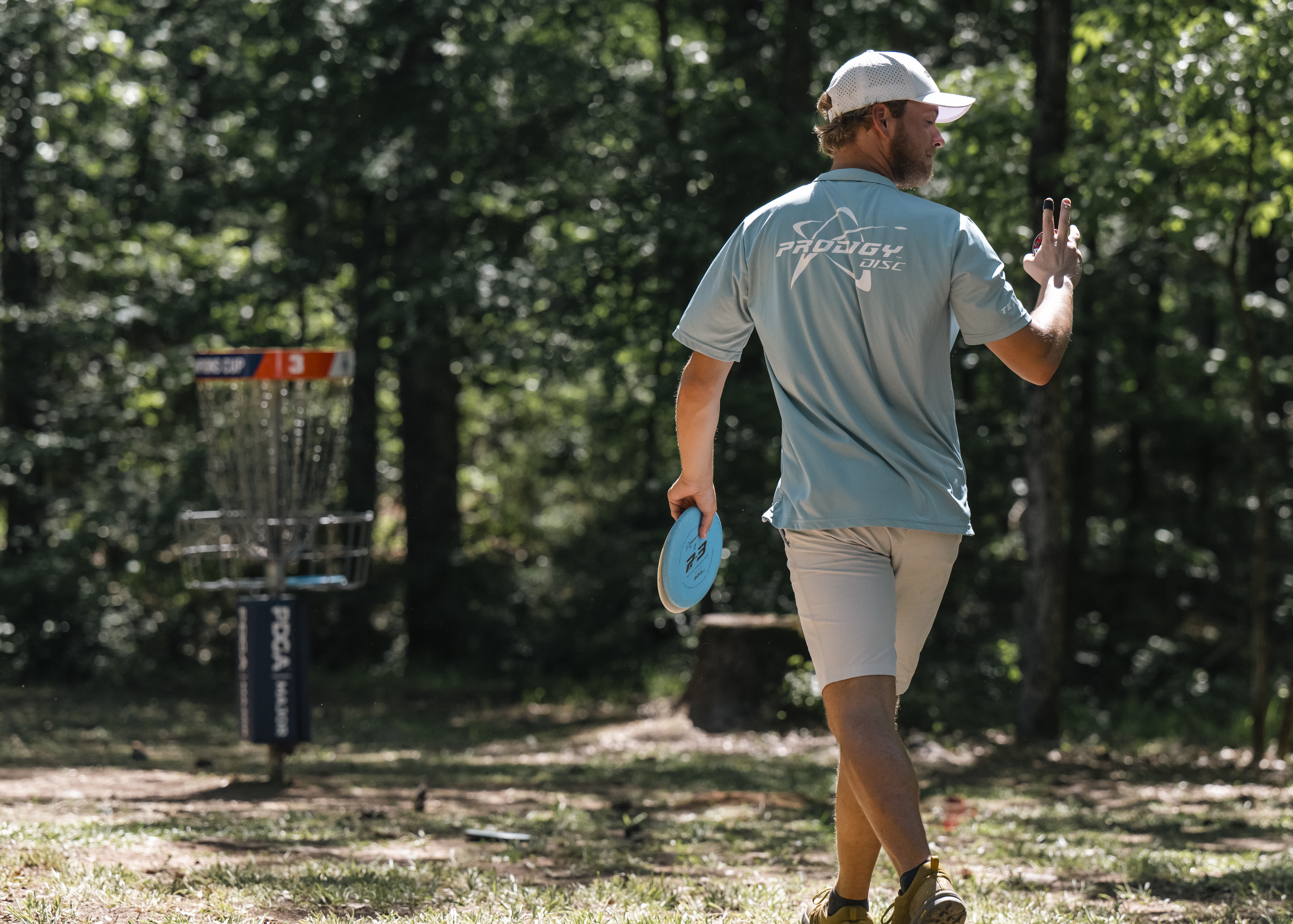 Right at Home Professional Disc Golf Association image