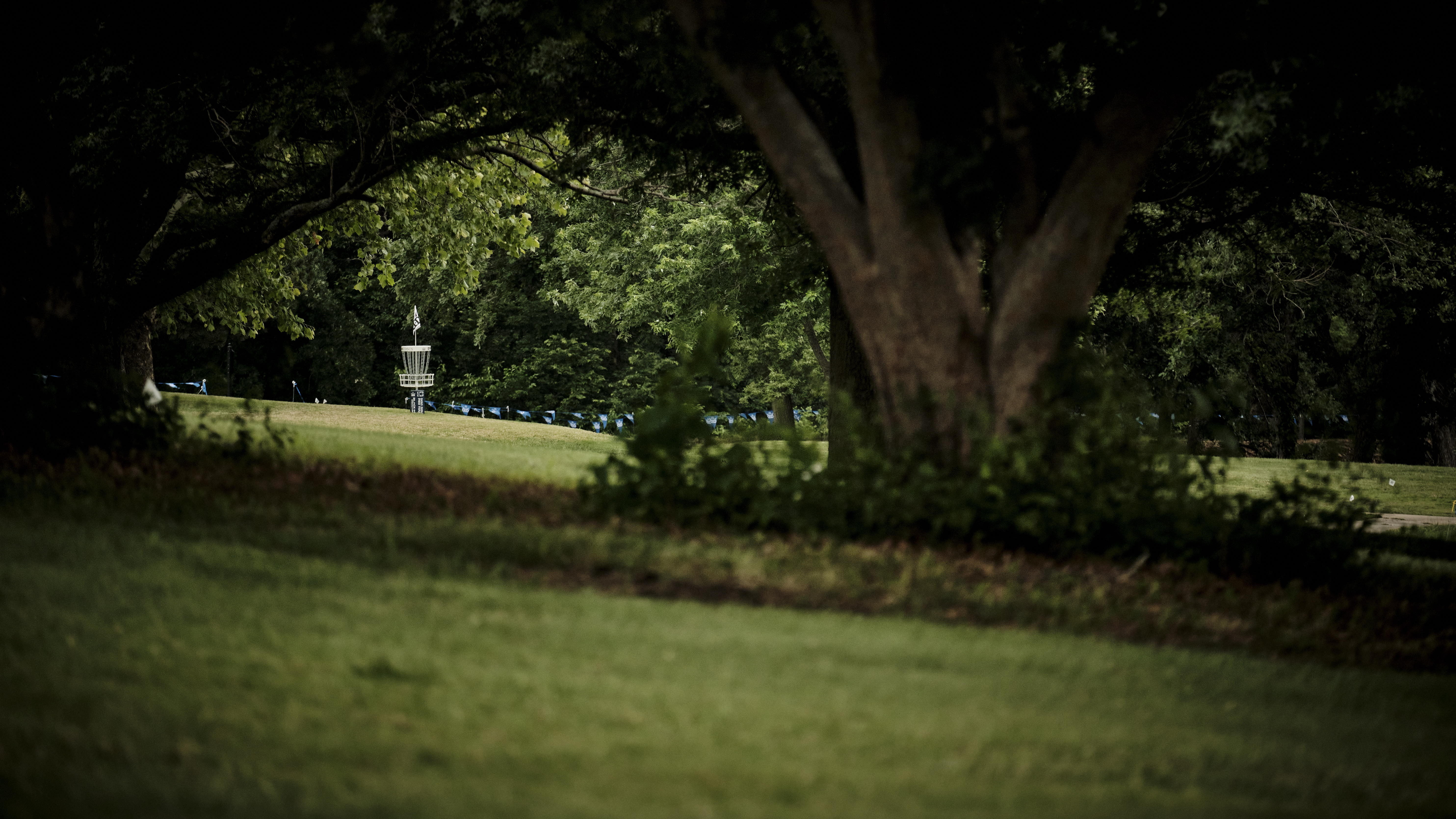 ddo.scenics.kevinhuver_10.jpg