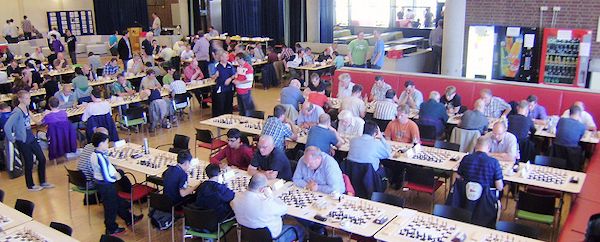 4_chess_t_ms.jpg