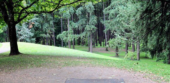 hole-6-ptee bullseye discgolf.jpg