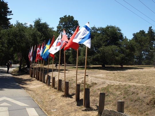 Flags at DeLa