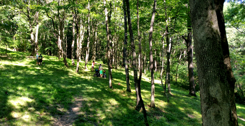 deer-parks-hole-14.jpg