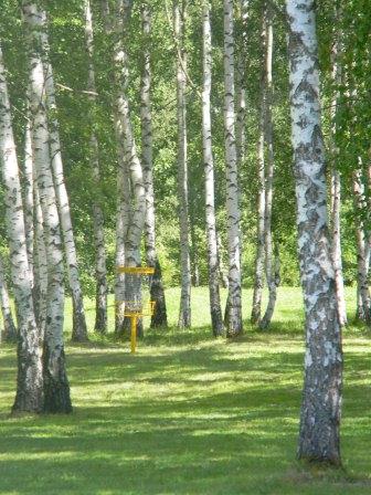 Hole 1's green at Järva Discgolf Park in Stockholm, Sweden