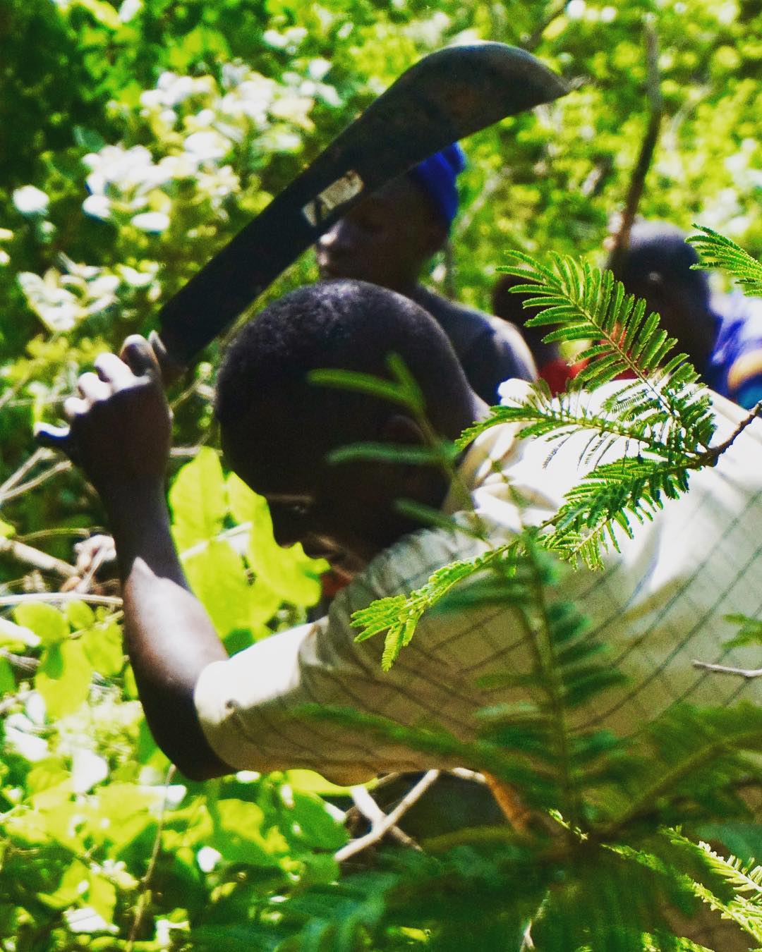 esther_zambia_37_clearing_fairways.jpg